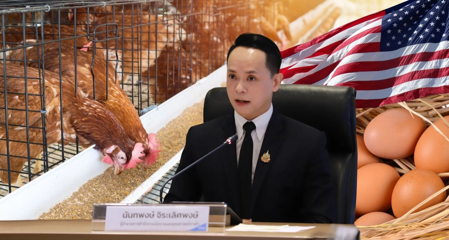 สนค. ถอดบทเรียนไข่ไก่สหรัฐฯ แนะใช้มาตรฐานความยั่งยืน เพิ่มโอกาสสร้างมูลค่าใหม่เจาะตลาดต่างประเทศ