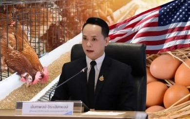 สนค. ถอดบทเรียนไข่ไก่สหรัฐฯ แนะใช้มาตรฐานความยั่งยืน เพิ่มโอกาสสร้างมูลค่าใหม่เจาะตลาดต่างประเทศ
