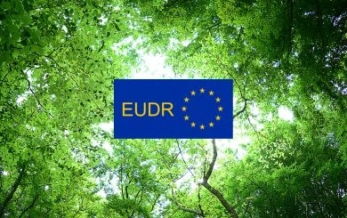 EUDR ปราการสีเขียวแห่งยุโรป: เมื่อ ‘ข้อมูลพิกัดที่ดิน’ กลายเป็นใบเบิกทางใหม่ของสินค้าไทย